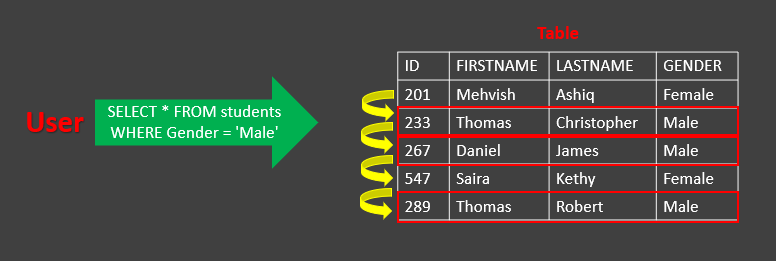 Show Indexes For Table Or Database In MySQL | Delft Stack